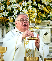 Father Jim Spenard, osa